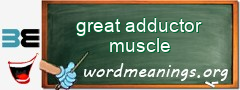 WordMeaning blackboard for great adductor muscle